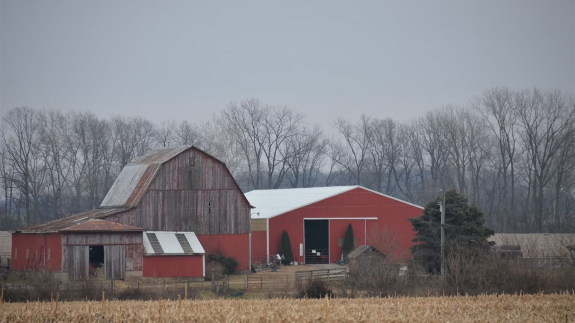 The Pike County Murders (Image via Unsplash/ @ Roger Starnes Sr)